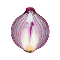 Half red onion showing colorful layers and texture