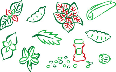 Colorful, red and green rough-line hand-drawn spice and herb illustrations. Peppercorns, nuts, cinnamon, oregano, salad mustard. Creative ingredient sketches. Isolated outlines for food projects. © Natalia Kononova