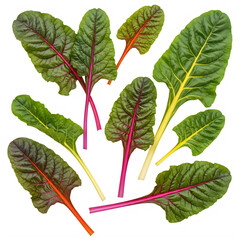 Collection of Fresh Swiss Chard Leaves with Vibrant Red, Yellow, and Orange Stems Artistically Arranged, Isolated on a Pure White Background.