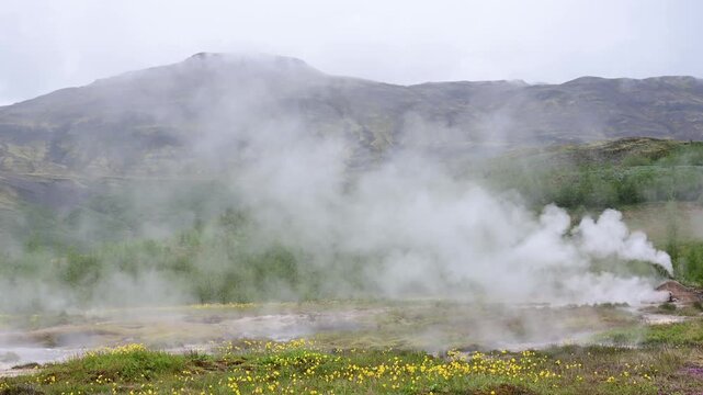 Steam vents and fumaroles in Geysir geothermal area, Iceland. Scenic volcanic landscape with yellow flowers