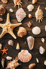 Seashells and starfish collection on dark wooden background, flat lay, top view