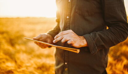 A person stands in a golden field during sunset while holding a tablet. The warm sunlight creates a soft glow around the surroundings. The scene captures a moment of technology in nature. © maxbelchenko