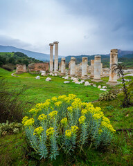The Artemis Temple at Sardes Ancient City in Manisa Province of Turkey