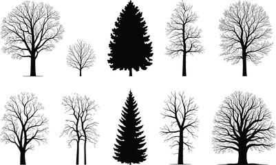 PrintTree silhouettes collection, diverse deciduous and coniferous forms, botanical illustration, forest design elements, nature diversity, bare branches, artistic reference, ecology © MDKAZOL