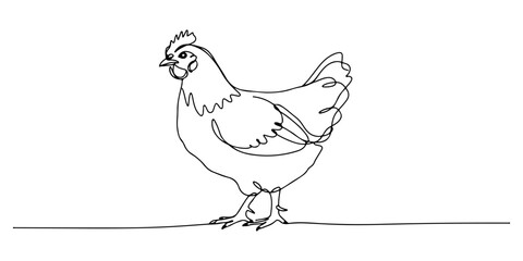 Fototapeta premium Continuous one line of a chicken, representing simplicity, life, and everyday nature, drawn illustration.