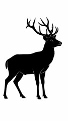 Obraz premium Deer with large antlers standing still.