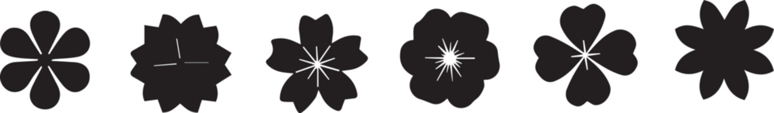Karyotype analysis of chromosomes with centromere and chromatid details