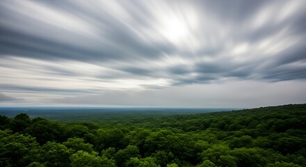 Dramatic Sky Over Lush Green Forest Landscape.