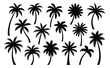 Fototapeta premium Collection of black palm tree silhouettes on white background tropical plants palm trees for design and decoration