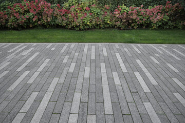 Green lawn and road surface from paving slabs in backyard. Gray color tiles floor, strip line concrete pavement and green grass carpet lawn. Concrete paving with tiles Green bush and cut grass in park