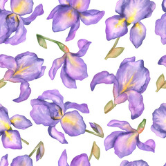 Seamless pattern of blooming irises