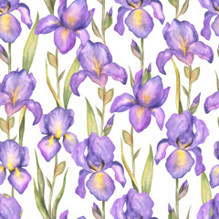 Seamless pattern of purple irises