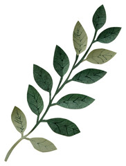 PNG Minimalist botanical paper cutout