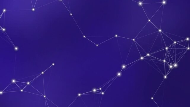 Constellations in the Night Sky.