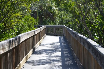 boardwalk mangroves trail with turn 