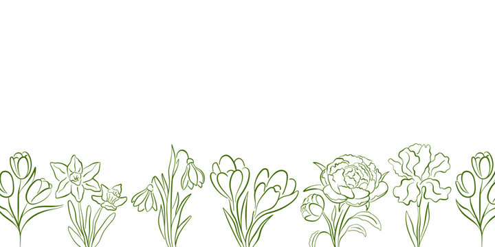 Floral bottom border with line art style spring flower snowdrop, iris, daffodil, tulip, crocus, peony. Illustration background for wedding invitation, greeting card and elegant textile design.