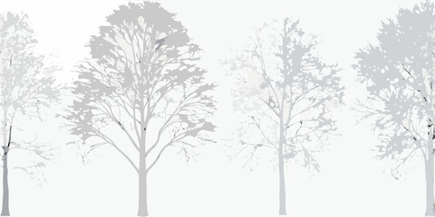 Fototapeta premium Silhouetted trees against a bright almost white hazy background