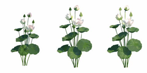 Three arrangements of white lotus flowers with green stems and leaves © Sourav