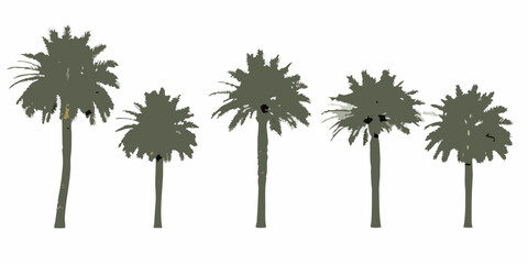 A row of five stylized palm trees against a white background © Sourav