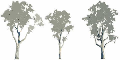 Three stylized trees with gray green foliage against a white background © Sourav