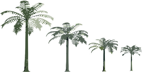 A series of stylized palm trees diminishing in size © Sourav