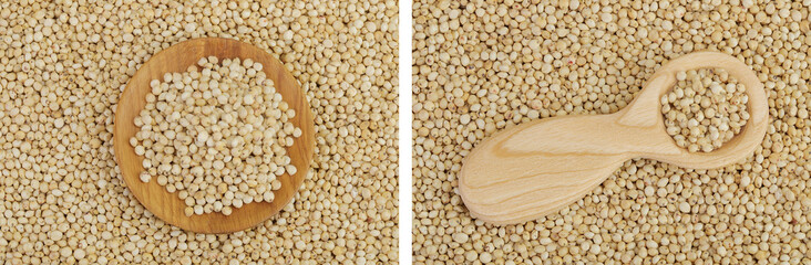 Obraz premium background of sorghum seeds in wooden bowl and spoon. Top view. Flat lay.
