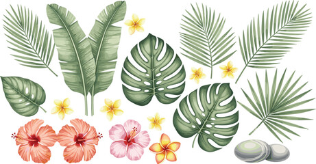 Tropical summer botanical vector set with monstera leaves, palm fronds, banana leaves, hibiscus flowers, plumeria blossoms, and smooth zen stones. © Sujon Shah