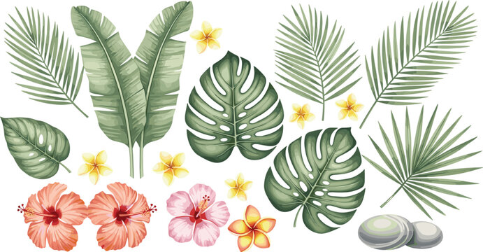 Tropical summer botanical vector set with monstera leaves, palm fronds, banana leaves, hibiscus flowers, plumeria blossoms, and smooth zen stones.