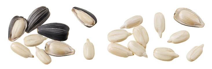 Sunflower seeds isolated on white background. Top view. Flat lay