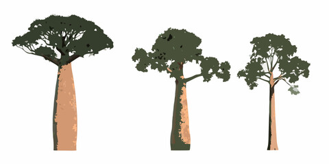 Three stylized baobab trees with textured trunks and green canopies © Roni