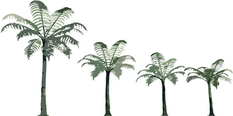 Four stylized palm trees arranged in descending height order © Roni