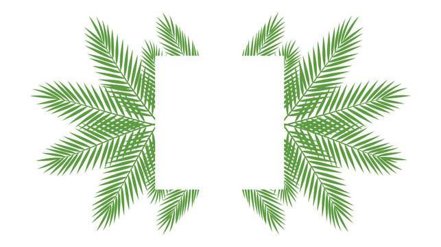 A green palm leaf frame on a white background for decoration