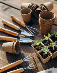 Gardening Tools and Seedling Pots on Wooden Surface