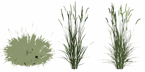 Illustrative depiction of various types of green grasses and foliage © Tarun