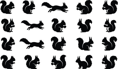Collection of black squirrel vector silhouettes in diverse poses, including sitting, standing, and running, perfect for wildlife design, nature artwork, and decorative projects. © MdNurunnabi