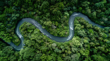 Obraz premium Aerial view of a winding river through dense tropical rainforest