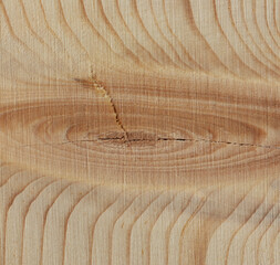 Eliptical knot in wood grain for background