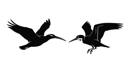 Obraz premium Two black birds flying side by side in mid air isolated on white background, Vector