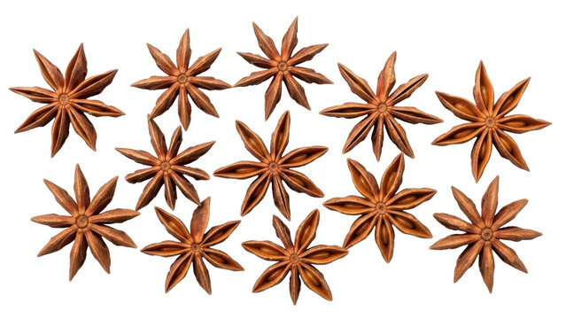 Isolated star anise spices, dried, brown, fragrant, culinary ingredient, flavoring spice