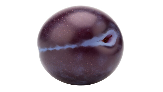 Isolated Damson Plum, a Fresh Fruit, Organic Snack, Ready to Eat, Natural Food, Nutritious