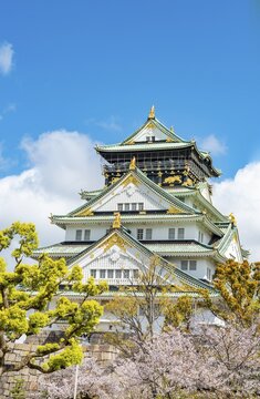 Osaka castle with blooming cherry trees in the park, Osaka Castle Park, Chuō-ku, Osaka, Japan