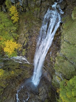 Autumn-coloured sycamore maple (Acer pseudo plantanus), at the Diesbach waterfall, Canton Glarus, Switzerland