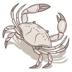 A brown crab standing on its hind legs © Shahin