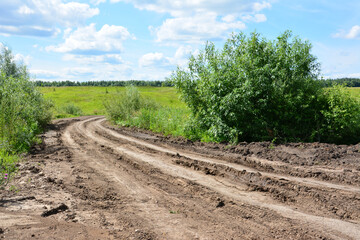 Obraz premium Rural Dirt Track in a Lush Green Landscape Under Blue Sky copy space