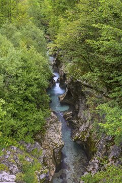 Narrows of the river at the Velika korita Soče (Great Soča Troughs), Bovec municipality, Slovenia
