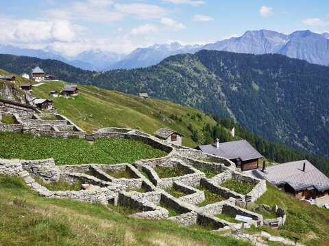 Enclosure made of dry stone walls for traditional alpine pasture management that was originally used for cattle grazing, Belalp, Canton Valais, Switzerland