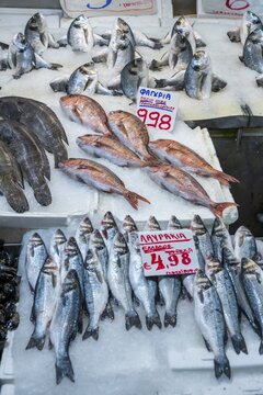 Raw fish at a stall, fish market, central market, Athens, Greece
