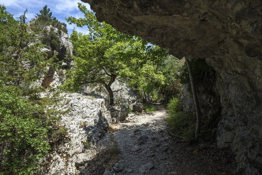 Hiking trail in the gorge of Trevans, Gorges de Tr&eacute;vans, near Estoublon, Alpes-de-Haute-Provence, Provence, France