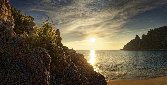 Rock covered with leafless asparagus (Asparagus aphyllus Linn&eacute;) on a sandy beach at sunset, Capo Vaticano, Calabria, Italy