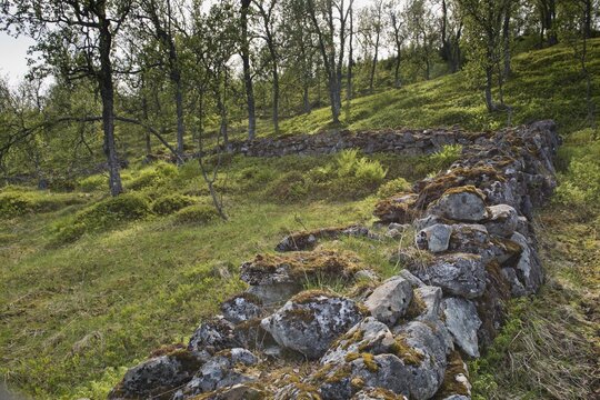 Mossy boulder wall, Kvaloya, Norway